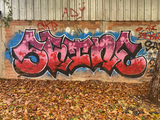 Shine graffiti on wall with autumn leaves under the artwork